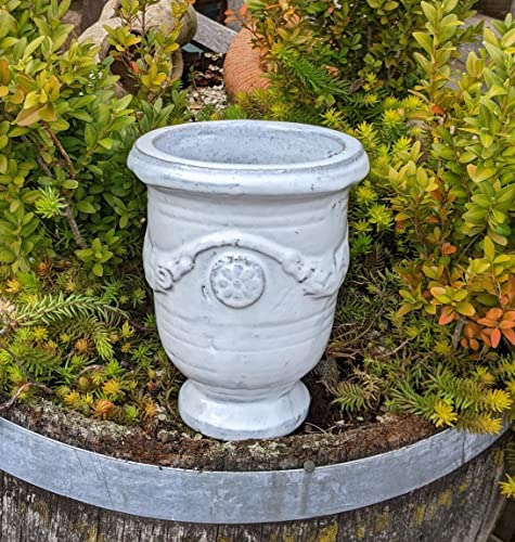 Generisch Neu !! Kleiner weißer Pokal Blumentopf 22 cm hoch aus frostfesten Steinzeug Garten Dekoration Blumenkübel Pflanztopf