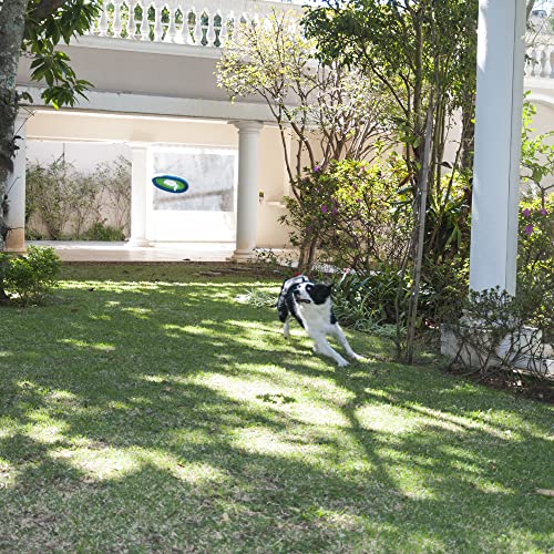 Chuckit! Lite Flight Dog Fetch Toy, Large (10 Inch Diameter) #TOP3