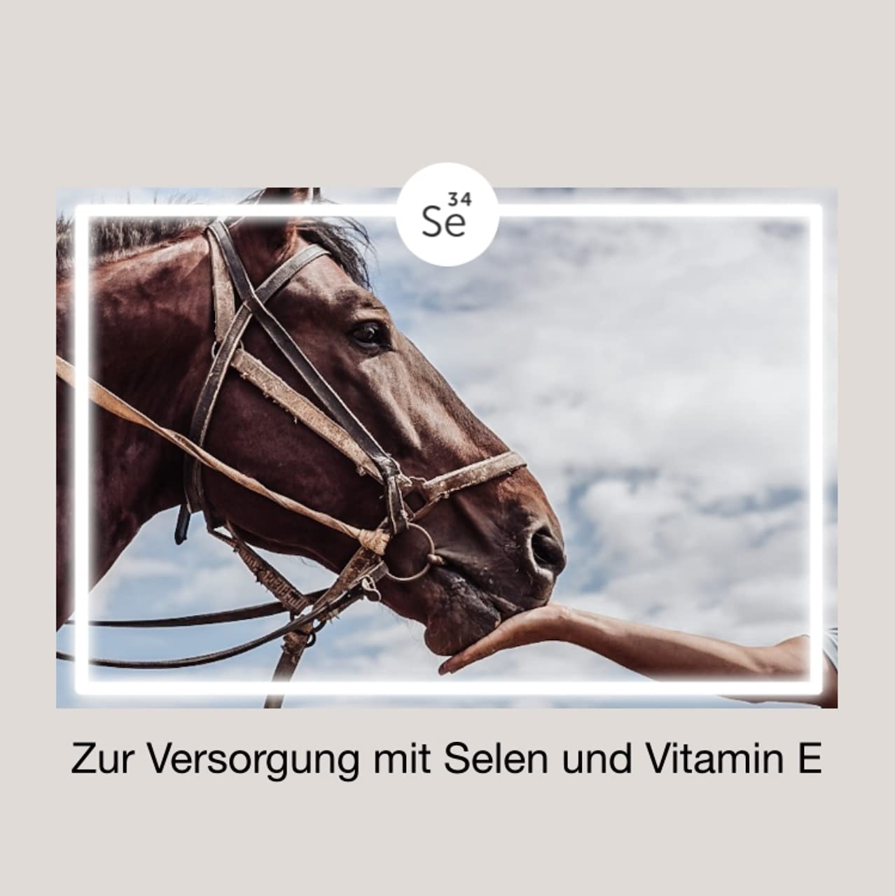 Selen + E, hochdosierte Pellets mit 50.000 mg Vitamin E und 20 mg Selen, für Muskulatur und Ausdauer, gegen Selenmangel und zur Vorbeugung, 1,5 kg aus Deutscher Herstellung