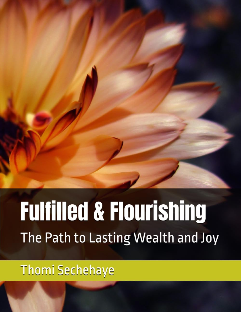 Fulfilled & Flourishing: The Path to Lasting Wealth and Joy