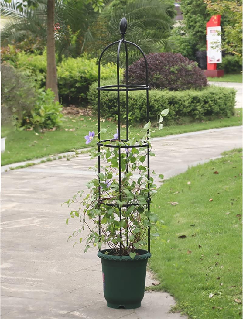 ガーデニング用支柱 スモールオベリスク 花 園芸用品 バラ 薔薇 オベリスクアーチ プランター おしゃれ 植木鉢 植物 鉢 簡単組立式 25 1cm 期間限定お試し価格