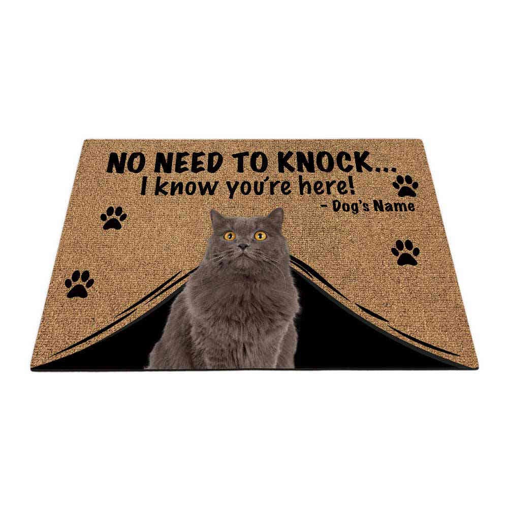 BAGEYOU Personalized Doormat with My Love Dog Lovely Britishlonghair Welcome Floor Mat Not Need to Knock I Know You're Here 27.5" x 17.7"