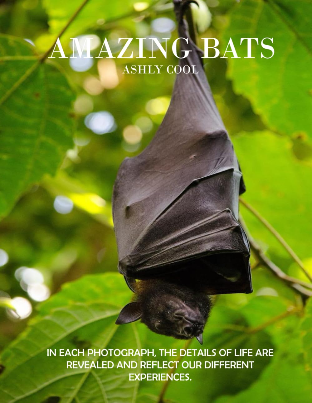 Amazing Bats: Discovering Amazing Bats: A Visual Journey Through Nature’s Fascinating Nocturnal Mammals