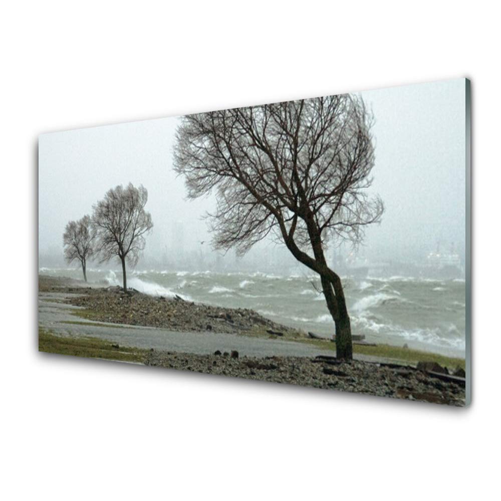 Impression sur verre acrylique 100x50cm de nature arbres tableau mural moderne déco