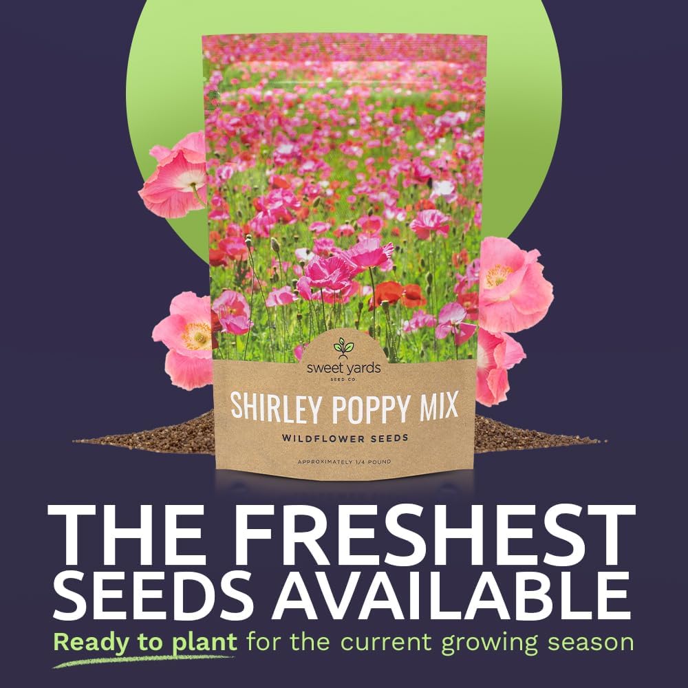 Shirley Poppy Seeds – Mixed Colors – Bulk Quarter Pound Bag – Over 800,000 Open Pollinated Non-GMO Wildflower Seeds – Papaver rhoeas