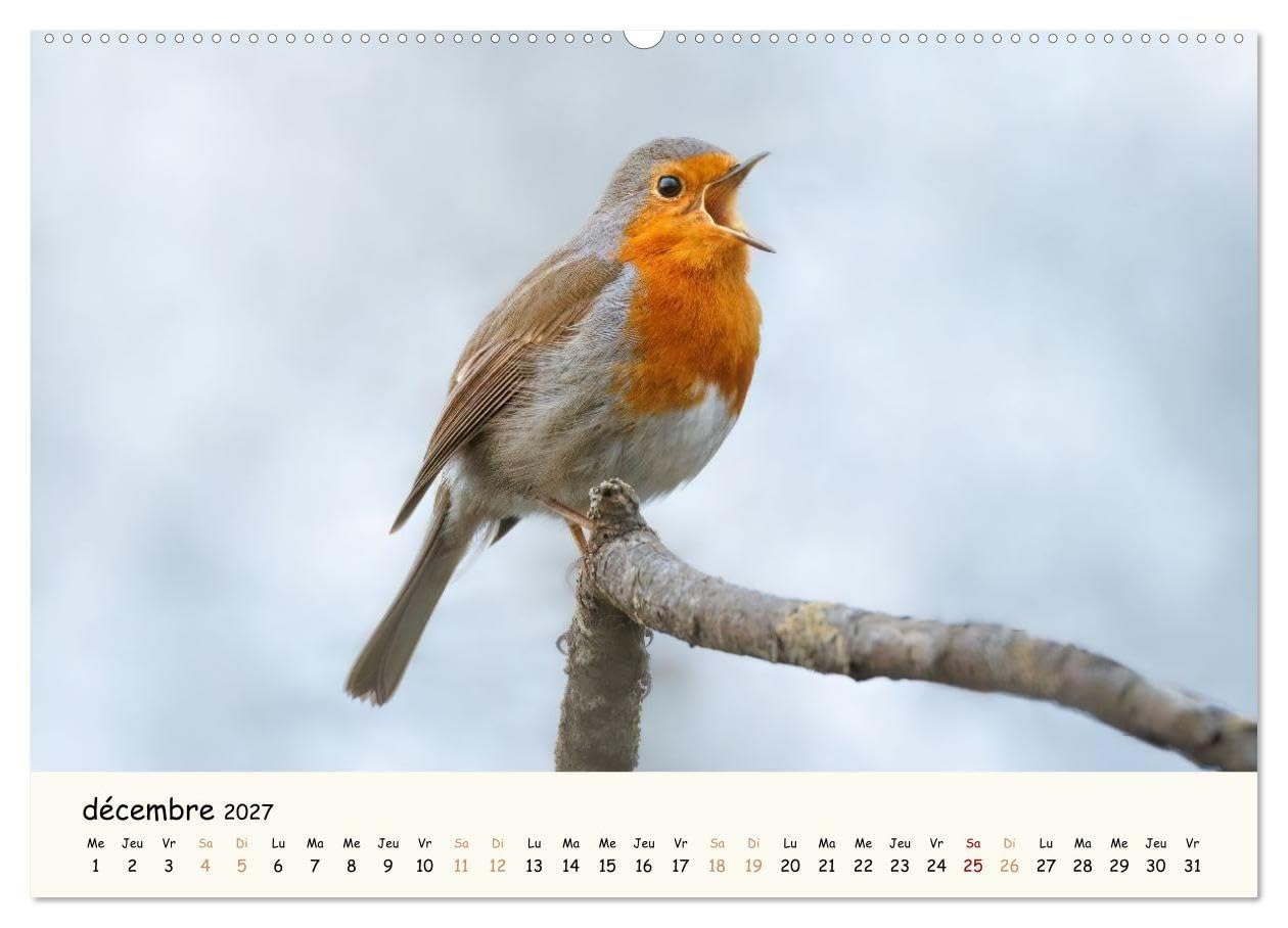 Les voisins du jardin - Une année de rencontres (Calendrier mural 2027 DIN A2 vertical), CALVENDO calendrier mensuel: Un calendrier tendre et coloré ... et fascinante des animaux de nos jardins.