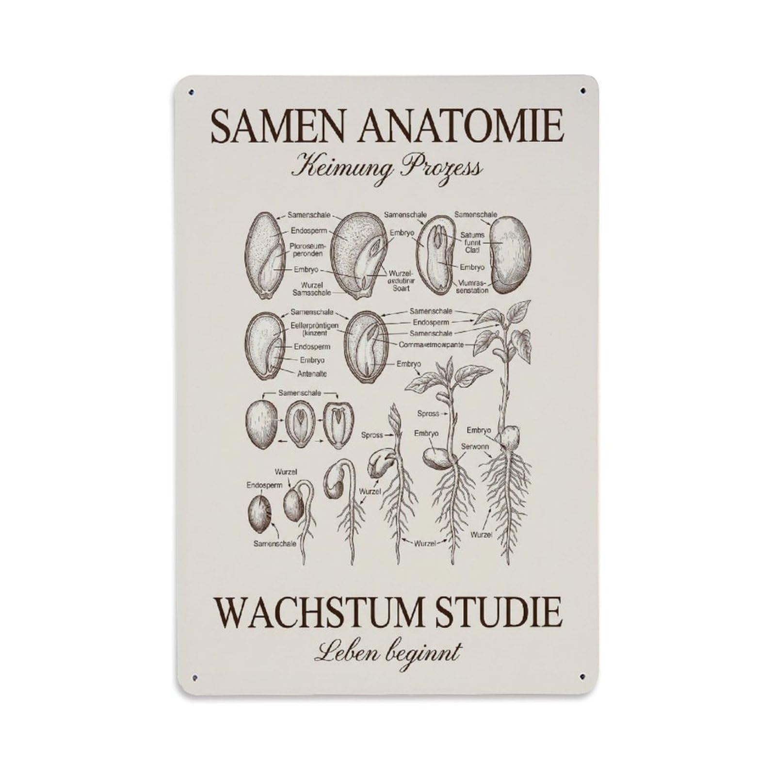 Vintage Funny Garden Seed Anatomy Scientific Metal Tin Sign Plaque Wall Decor for Cafe, Club Bar, Office, Garden Metal Poster 8x12Inch
