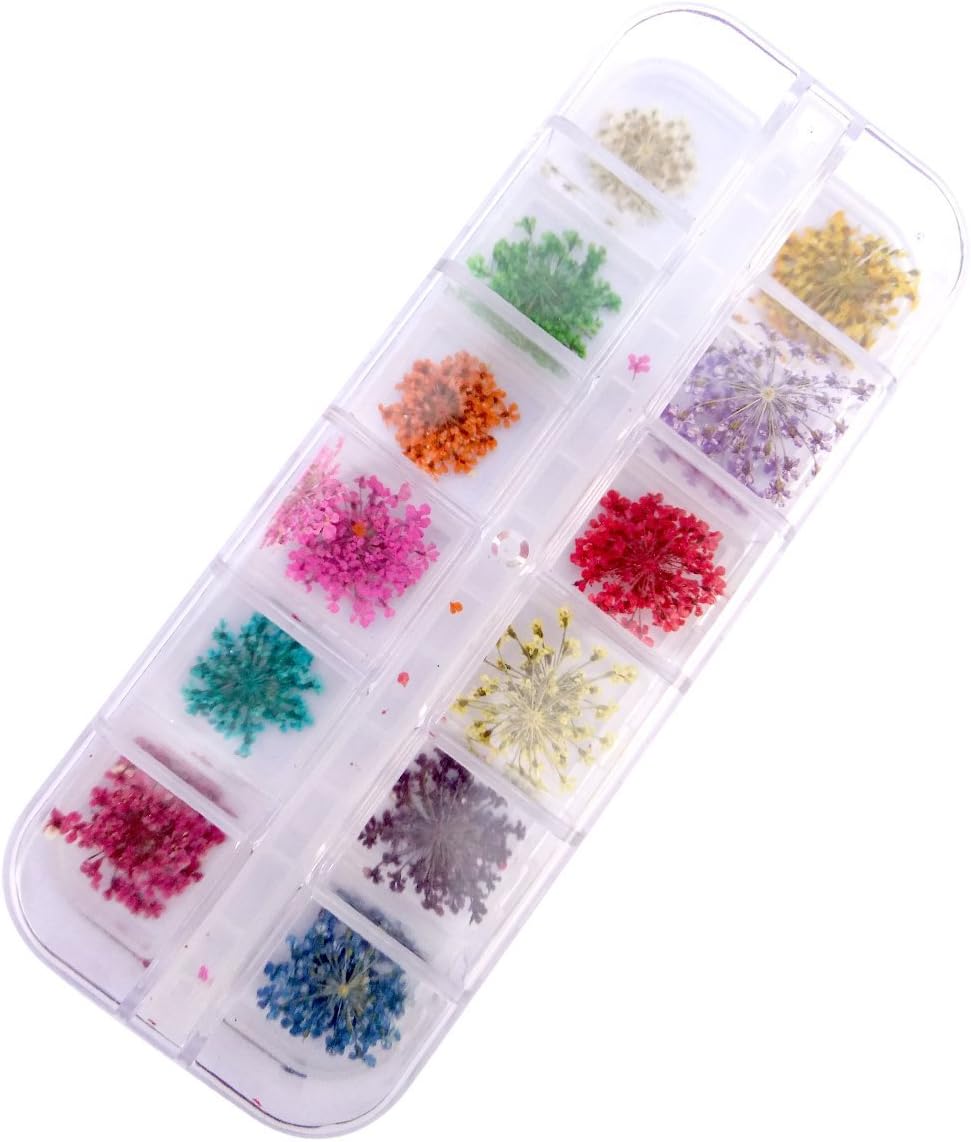 12 Color Real Dried Flower Case Nail Art Tips Decoration Design