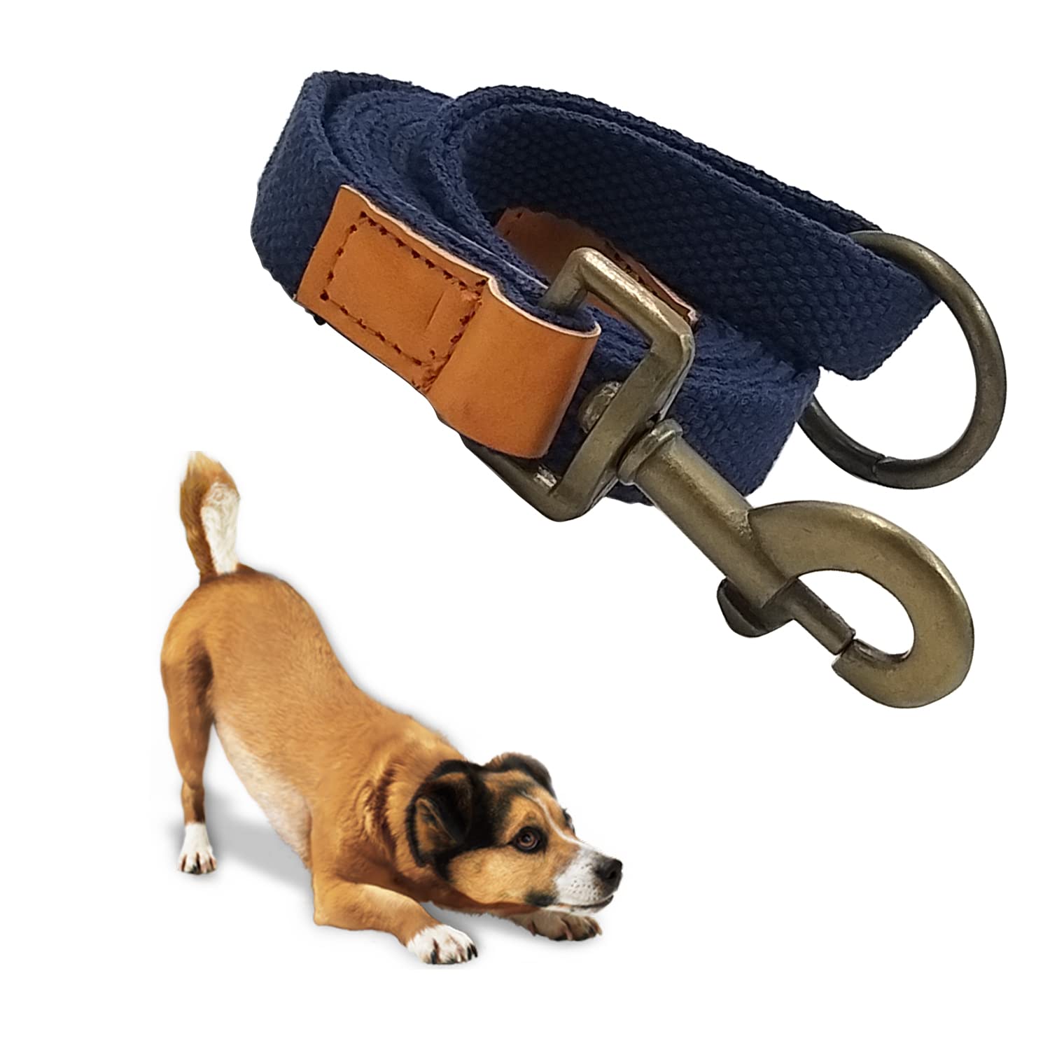 Jainsons Pet Products Dog Leash, Strong and Durable Cotton Traditional Style Leash, Dog Leashes for Walking, Dog Leash for Small and Medium and Large Dog (1.25 inch Width, Blue) (B09PK4DGMH) Amazon Price History, Amazon Price Tracker