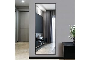NeuType Full Length Mirror, Wall-Mounted or Leaning Against Wall