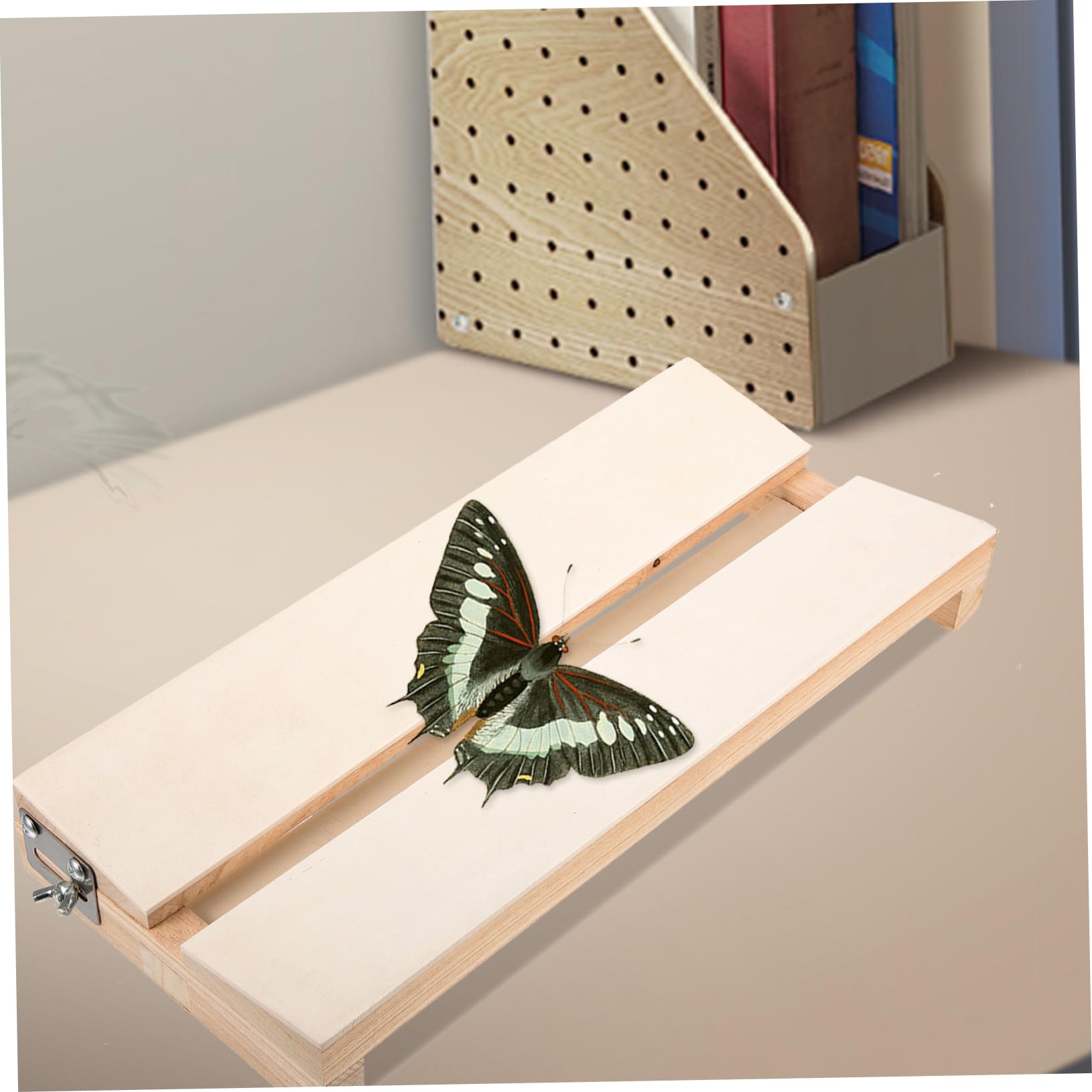 GRIRIW Butterfly Wings Specimen Display Board Butterflies Spreading Board Boards Making Insect Specimen Tools Kit Butterfly Spreading Wing Board Entomology Kit Small Display Case Foam