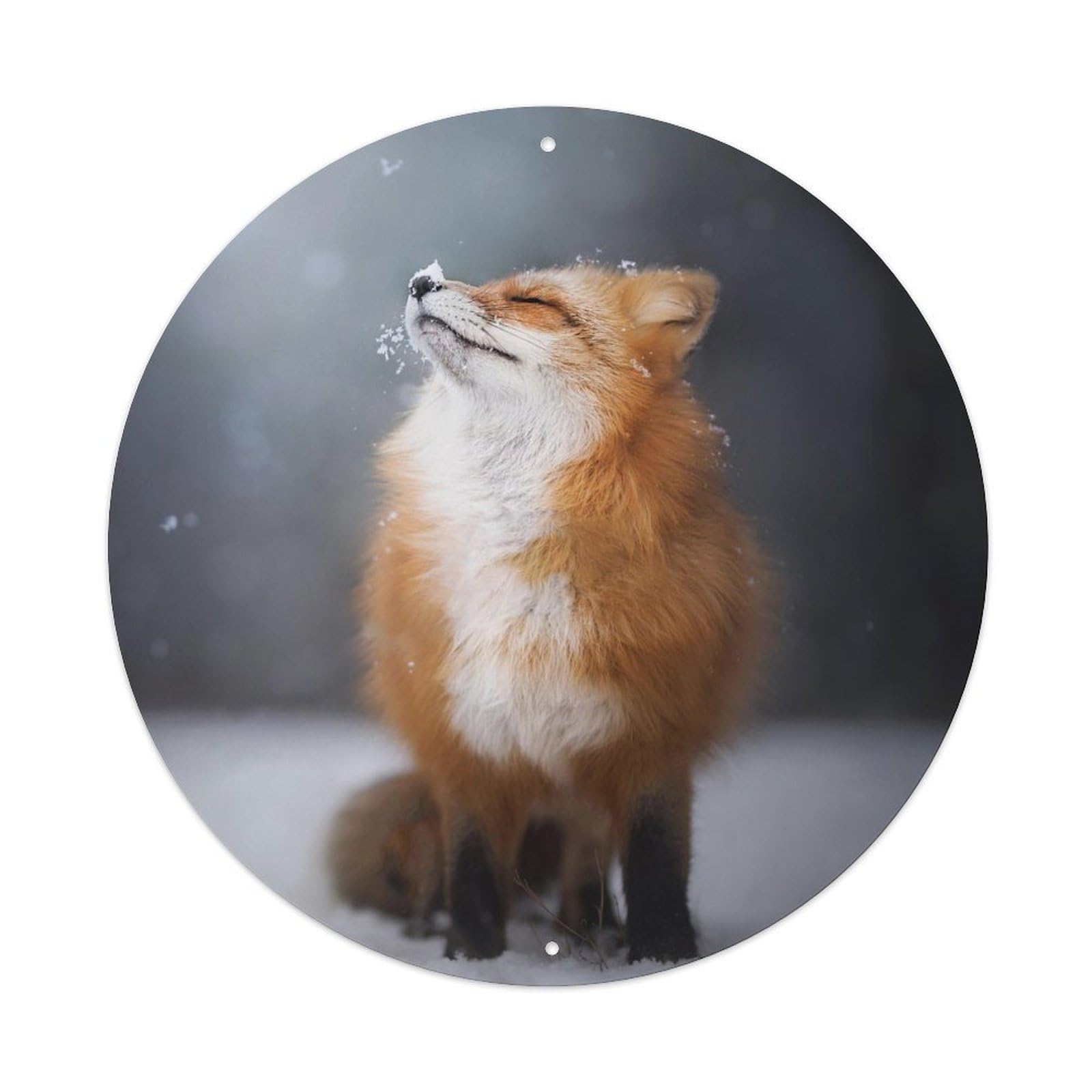 Serenity Winter Forest Snow Fox Vibe Poster Metal Tin Sign