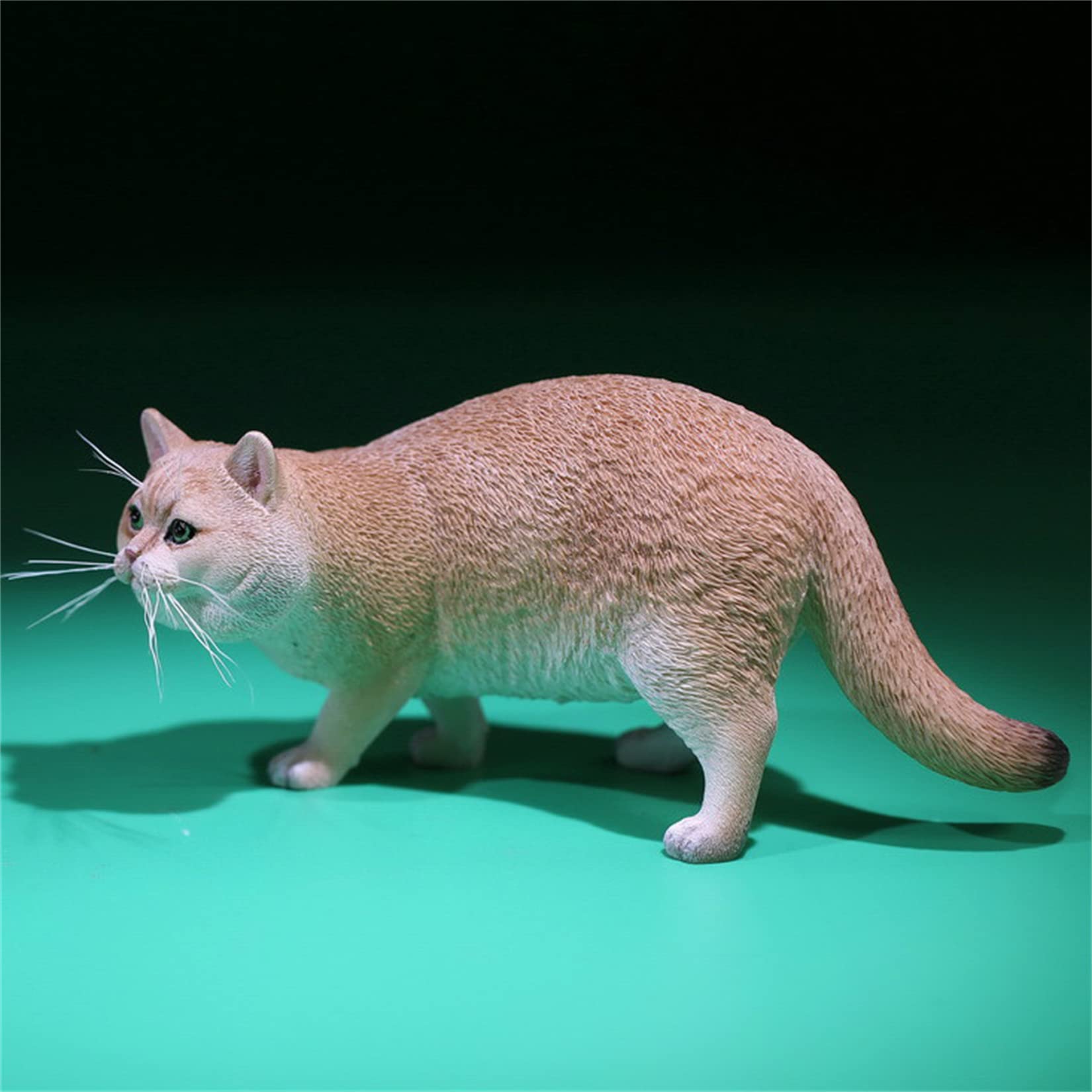Amazon | Mr.Z 1/6 サイズ ブリティッシュショートヘア 猫