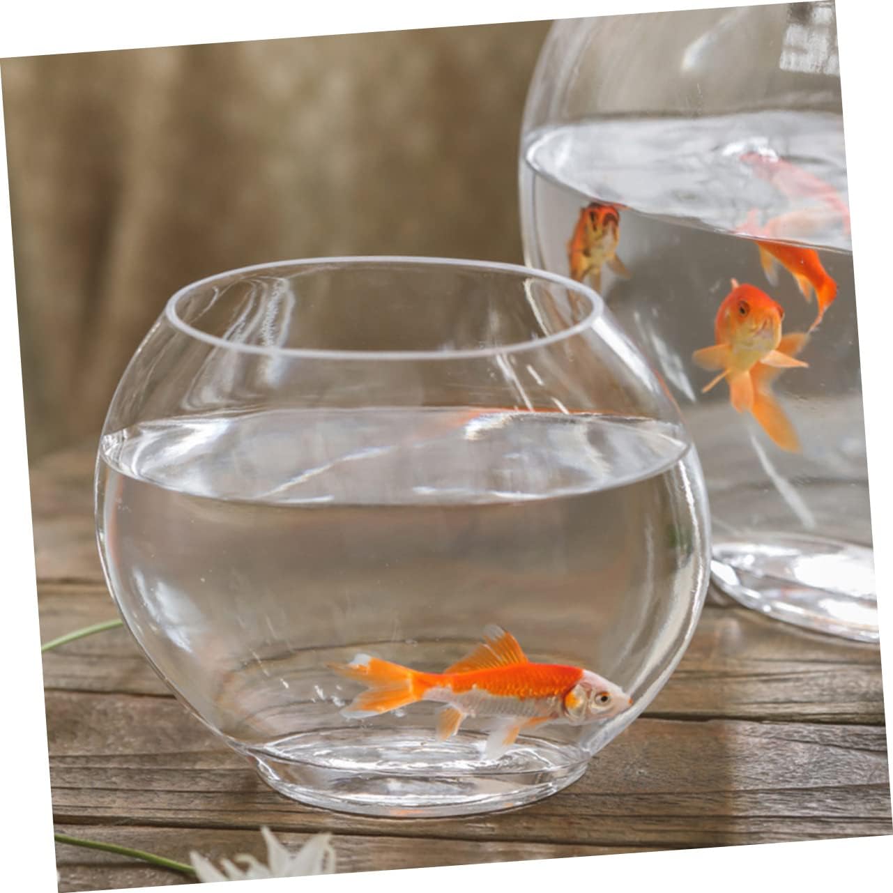 ibasenice Transparent Betta Tank Multi-Function Aquarium for Stylish Desktop Fish Bowl and Flowerpot Decor Home Accessory for Plants and Design
