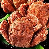 ますよね 毛ガニ ボイル 毛蟹 北海道産 500g前後×2尾 計1kg前後 毛がに かに カニ 蟹