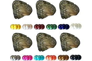 Cultured Freshwater Pearl Oysters with Surprise Near Round Pearls Inside