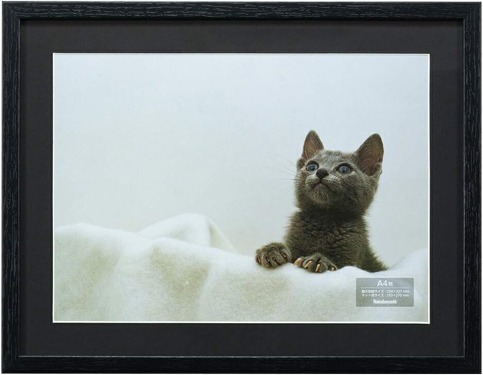Nakabayashi F-SW-114-D Wooden Picture Frame, A4 Size, Black