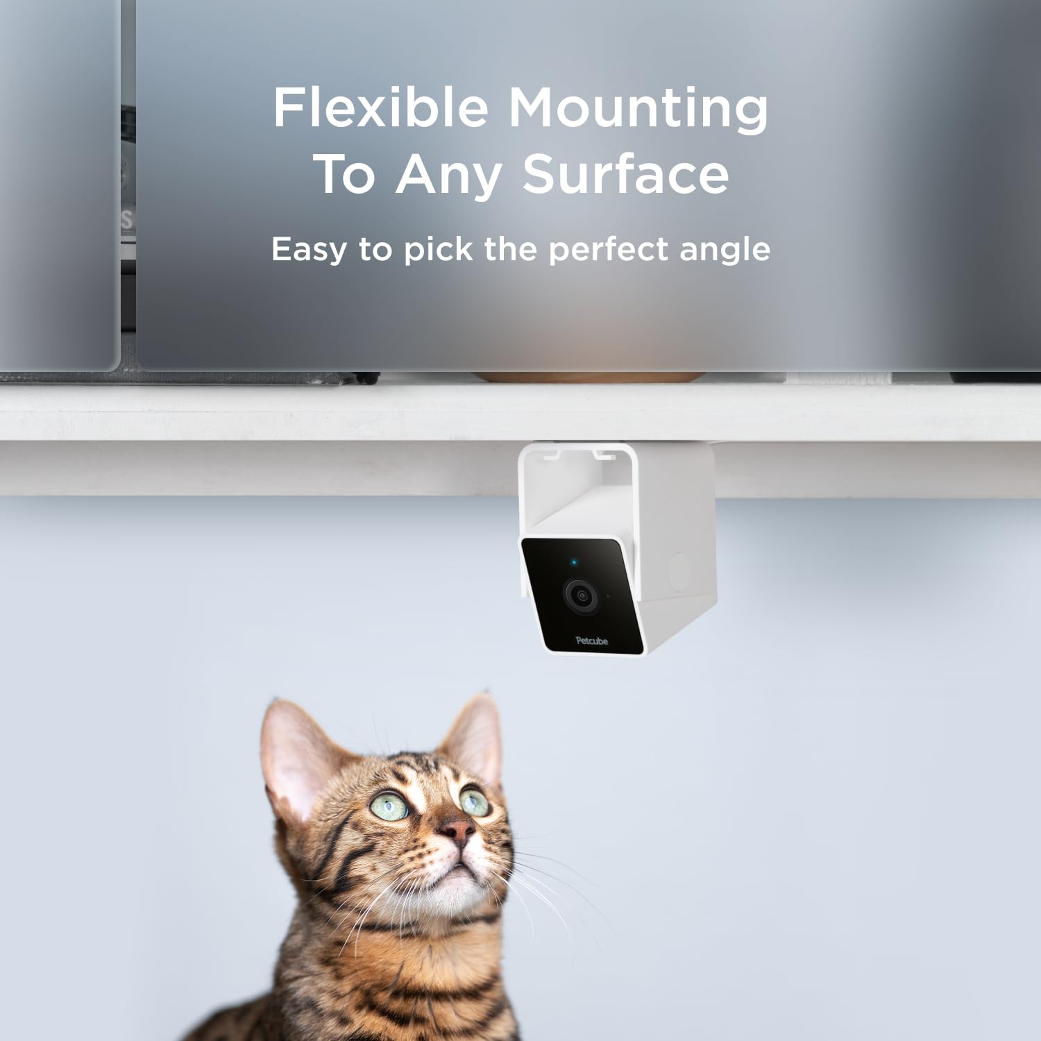 Petcube Cam - Telecamera di sicurezza Wi-Fi per animali domestici con app per telefono, monitor per animali domestici con audio e video a 2 vie, visione notturna, video HD 1080p e avvisi intelligenti