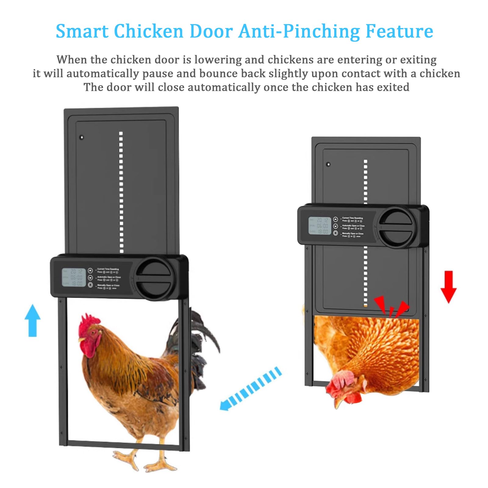 Puerta automática de gallinero con temporizador, control manual, seguridad antipellizcos y pantalla LCD grande