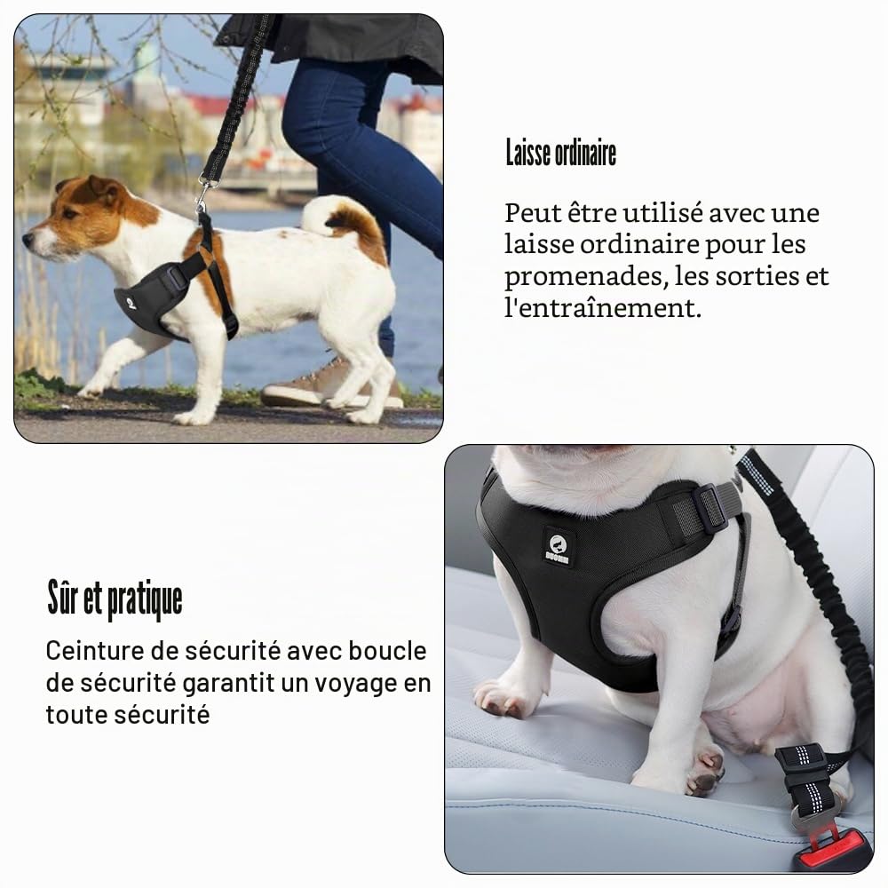 Ensemble de Harnais et Laisse de Sécurité de Voiture, Harnais Voiture Chien en Maille Douce et Respirante, 53 cm-74 cm Ceinture de Sécurité éLastique Réglable à Fixer Sur le Siège de Voiture (Noir, S)