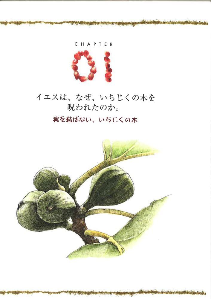 ヘブライ語 植物の本 ヘブライ語 植物の本 ヘブライ語 植物の本 ヘブライ語 植物の本 本・