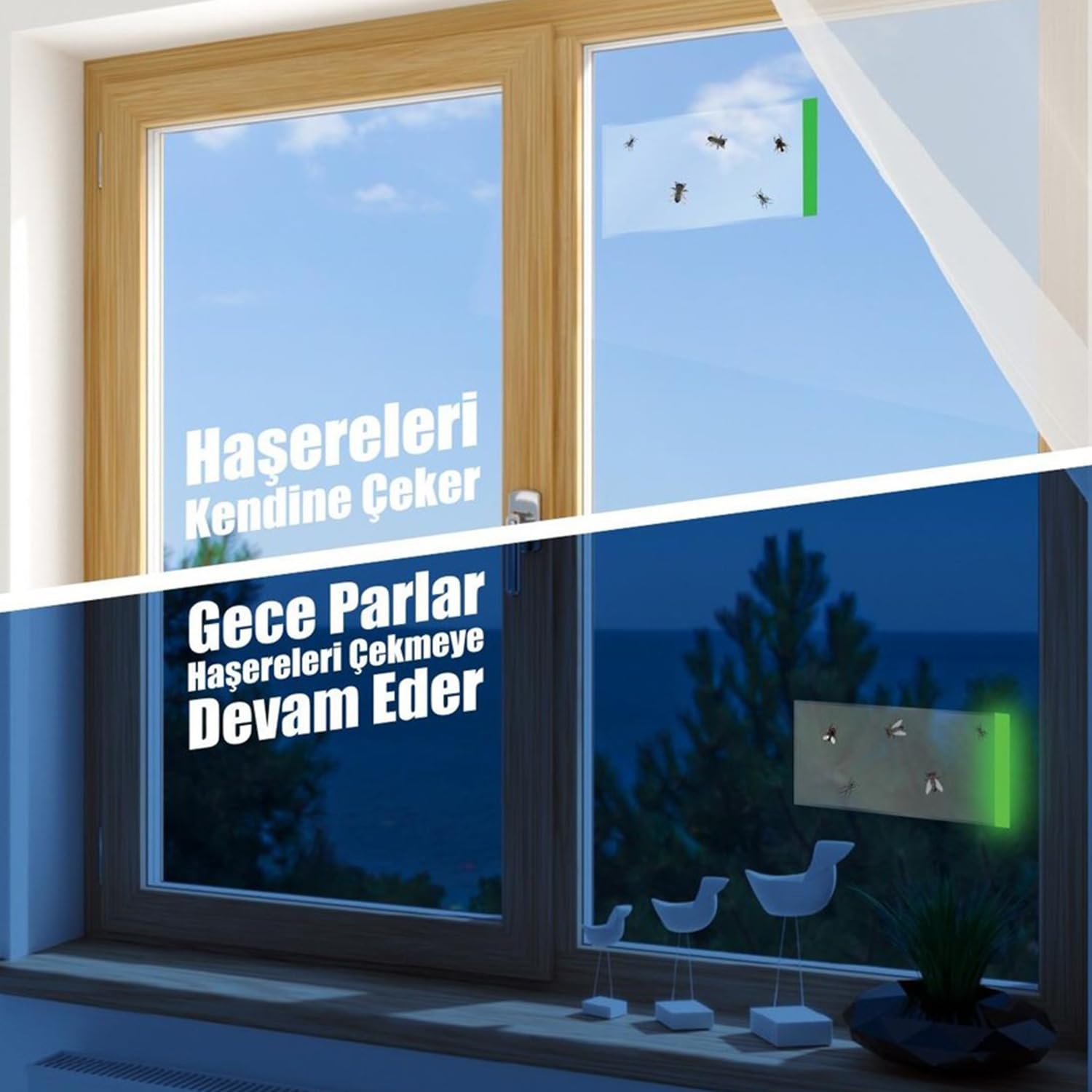 Fosforlu Yapışkanlı Şeffaf Kokusuz Haşere Sinek Kapanı Şerit Bandı 215 mm x 125 mm 10'lu Paket