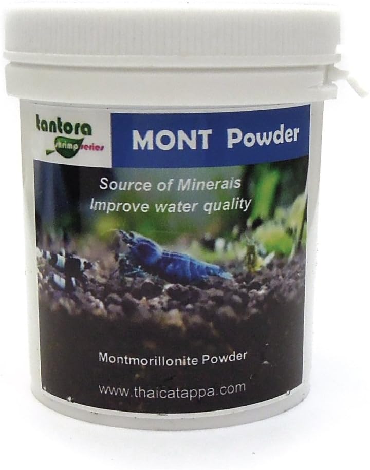 Mont Powder Montmorillonite Clay - 50 Grams