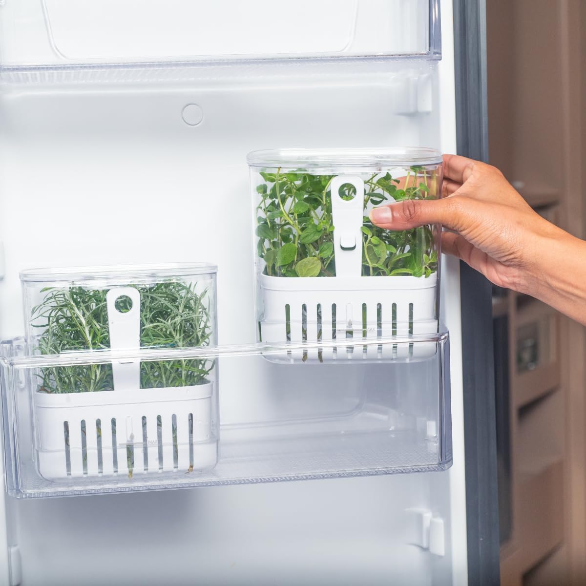 OU ORGANIZADOR DE TEMPEROS CLEAR FRESH 1,5L