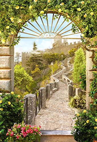 Leyiyi 3x5ft Photography Background Vintage Medieval Castle Wedding Backdrop Stone Architecture Spring Garden Roses Birthday Party European Travel