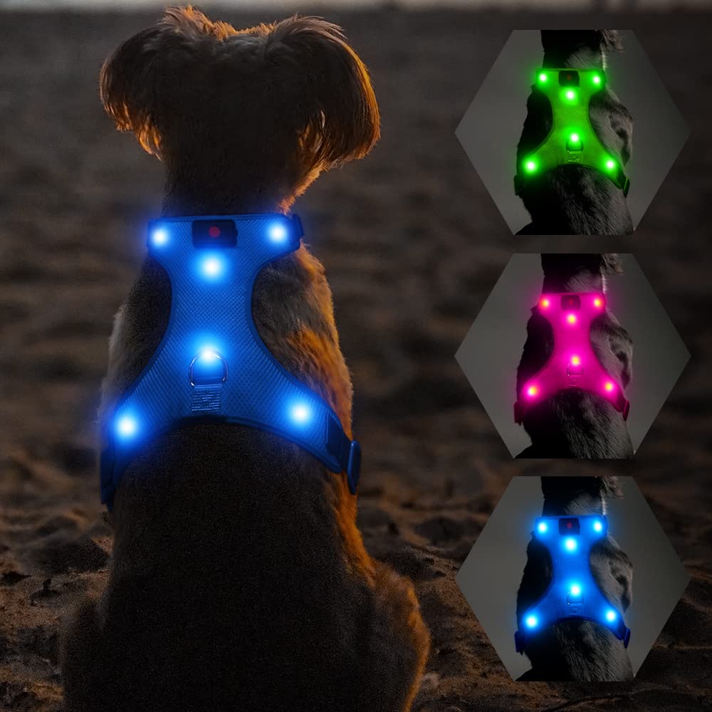 Flashseen LED Dog Harness,Lighted Up USB Rechargeable Pet Harness,Illuminated Reflective Glowing Dog Vest Adjustable Soft Padded No-Pull Suit for Small,Medium,Large Dogs (Blue, M)