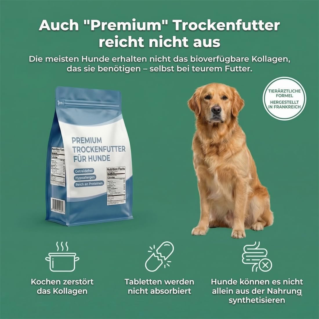 Premium Flüssiges Kollagen für Hunde – Gelenke, Haut & Fell – Mit MSM, Biotin & Ingwer – 100% natürliche Zutaten, hohe Bioverfügbarkeit