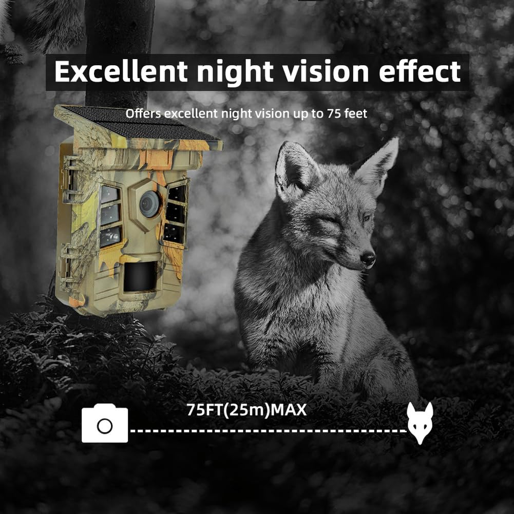 Macchina fotografica di inseguimento solare 4K IP66 impermeabile