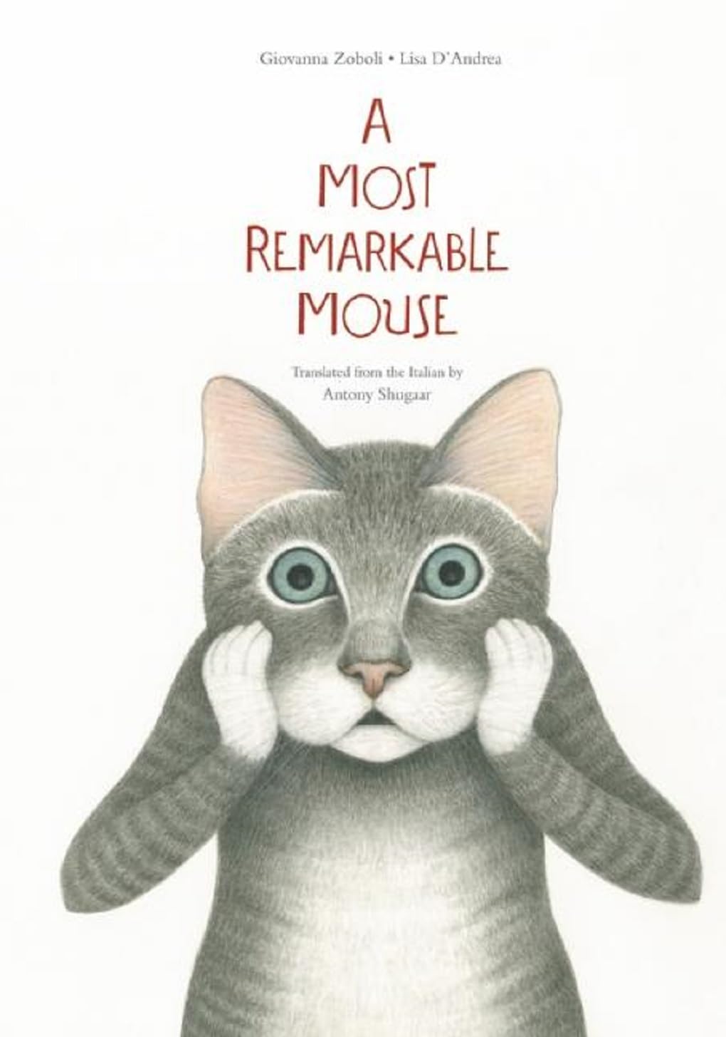 A Most Mysterious Mouse by Giovanna Zoboli (Hardback Book)