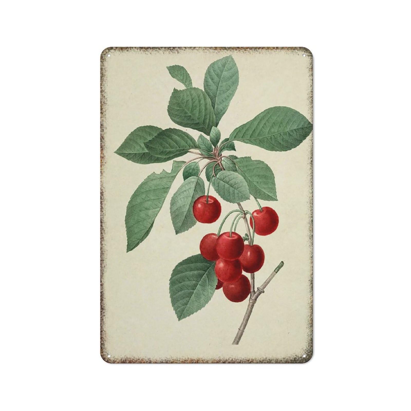Vintage Cherry Botanical Wall Print Fashionable Decor Sign for Summer Fruit Style Farmhouse Home Kitchen Wall Decoration 8x12 Inch