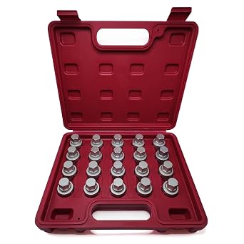 20PCS Wheel Locking Nut Key Kit Compatible with BMW Mini Series
