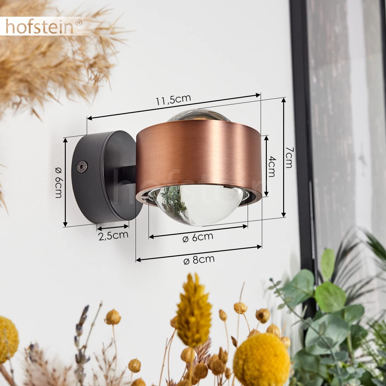 Wandlamp Sapri, moderne wandspot van metaal/glas in zwart/helder, 1 x