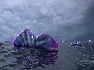 Walter Myers/Stocktrek Images – portugalski człowiek wojny na powierzchni oceanu kambryjskiego. Wydruk fotograficzny (41,66 x 31,24 cm)