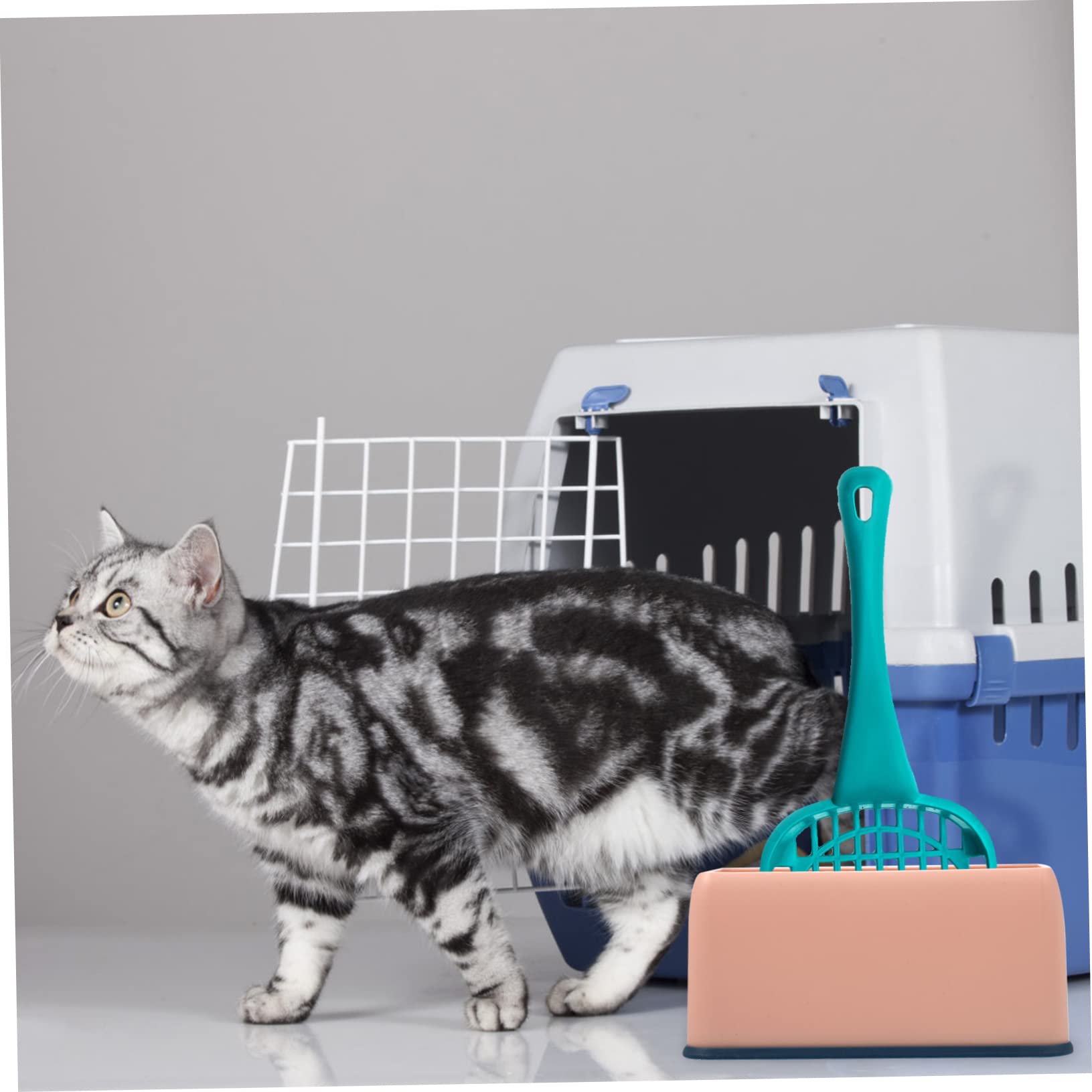 INOOMP 2pezzi Contenitore per Paletta Lettiera per Gatti Supporto Plastica Resistente Facile da Pulire e Riporre Accessori per Animali Domestici Base per Raccogliere Residui di Lettiera