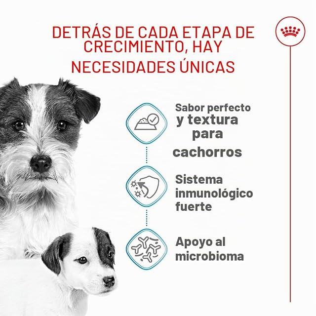 Foto 2 de 7 de Royal Canin Starter Mousse, Comida para perros, 12x195 gr