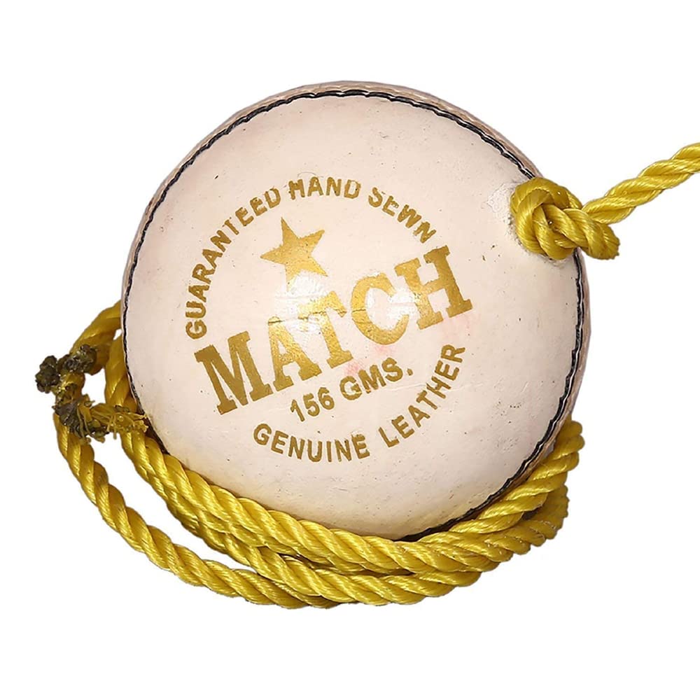 SL(A Shri Laxmi Product) Leather Match Practice Hanging Cricket Ball White Pack Of 1 (Club Size) (B0B6FYJPLC) Amazon Price History, Amazon Price Tracker