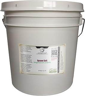 Epsom Bulk Unscented Magnesium Sulfate