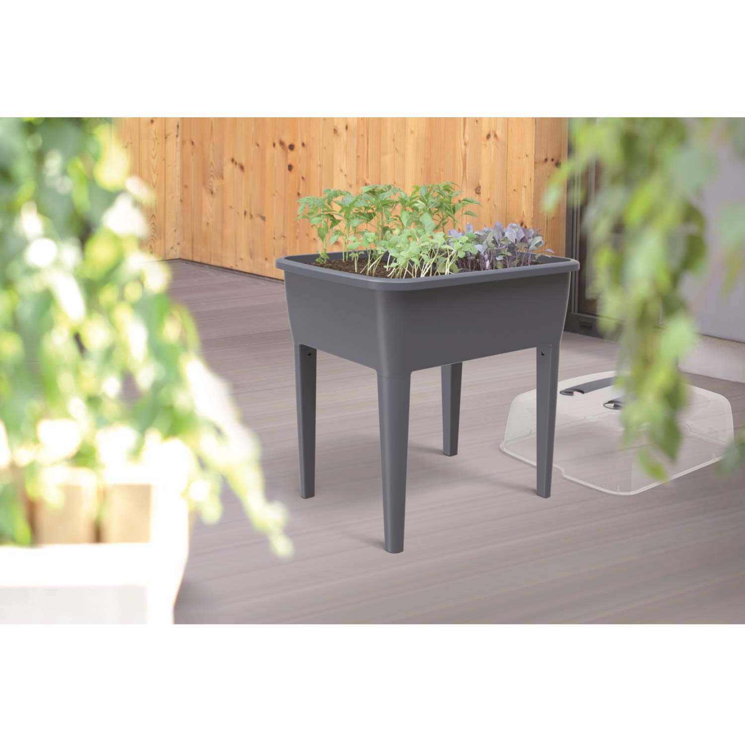 Prosperplast Jardinera Alta con Tapa de policarbonato, para Proteger Tus Plantas L Respana Planter Set de plástico en Color Antracita, 96,3 (Alto) x 77 (Ancho) x 58 (Profundo) cms