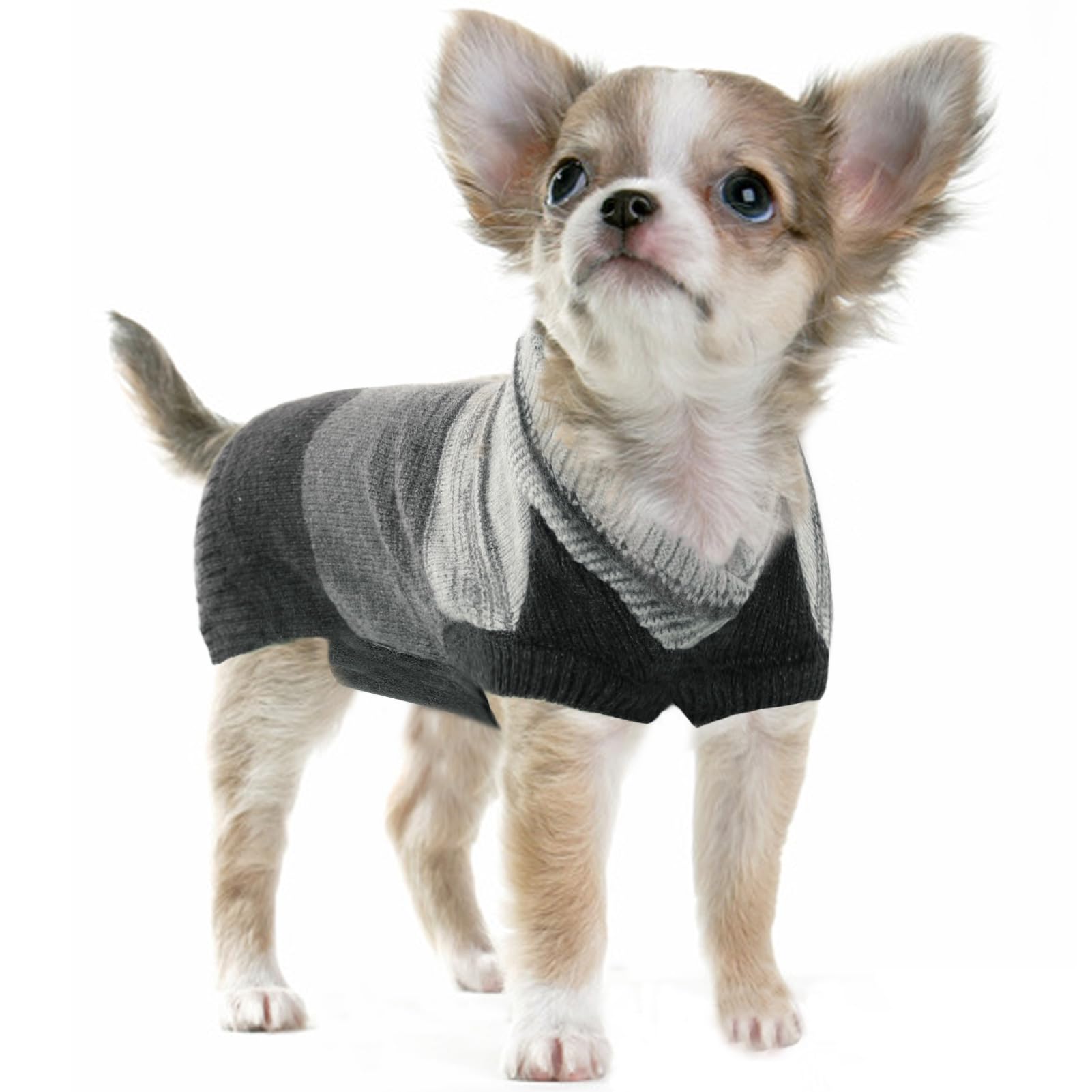 Amazon | QUEENMORE 犬服 冬 プレッピーセーター ドッグウェア 犬の服
