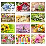 Edition Seidel Set 12 exklusive Geburtstagskarten mit Umschlag. Glückwunschkarte Grusskarte zum Geburtstag. Geburtstagskarte Karte Mann Frau (Doppelkarten/Klappkarten mit Briefumschlag)