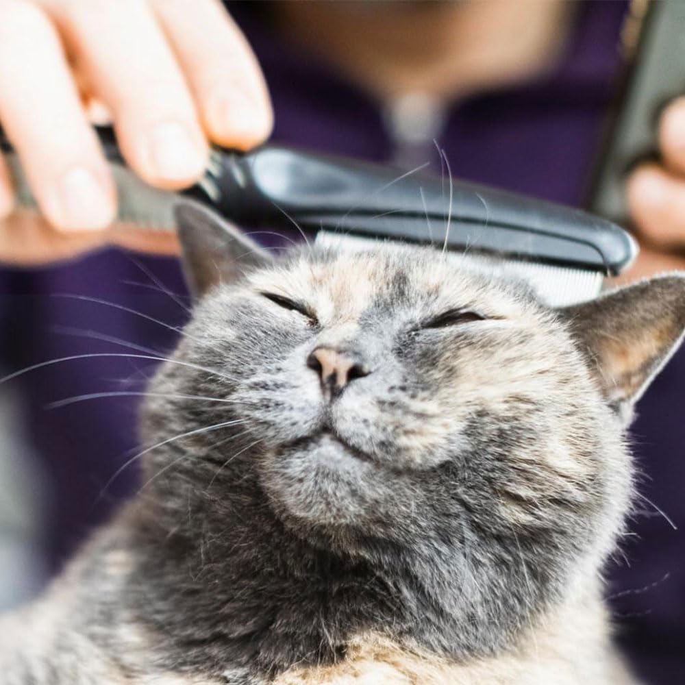 Zopper Pet Grooming Comb Assorted Combo Pack Stainless Steel Teeth Dog Cat Grooming for Small Medium and Large Fur Detangling Tool Double Row Removing Mats Knots & Tangles Hair Brush 20cm - Image 4