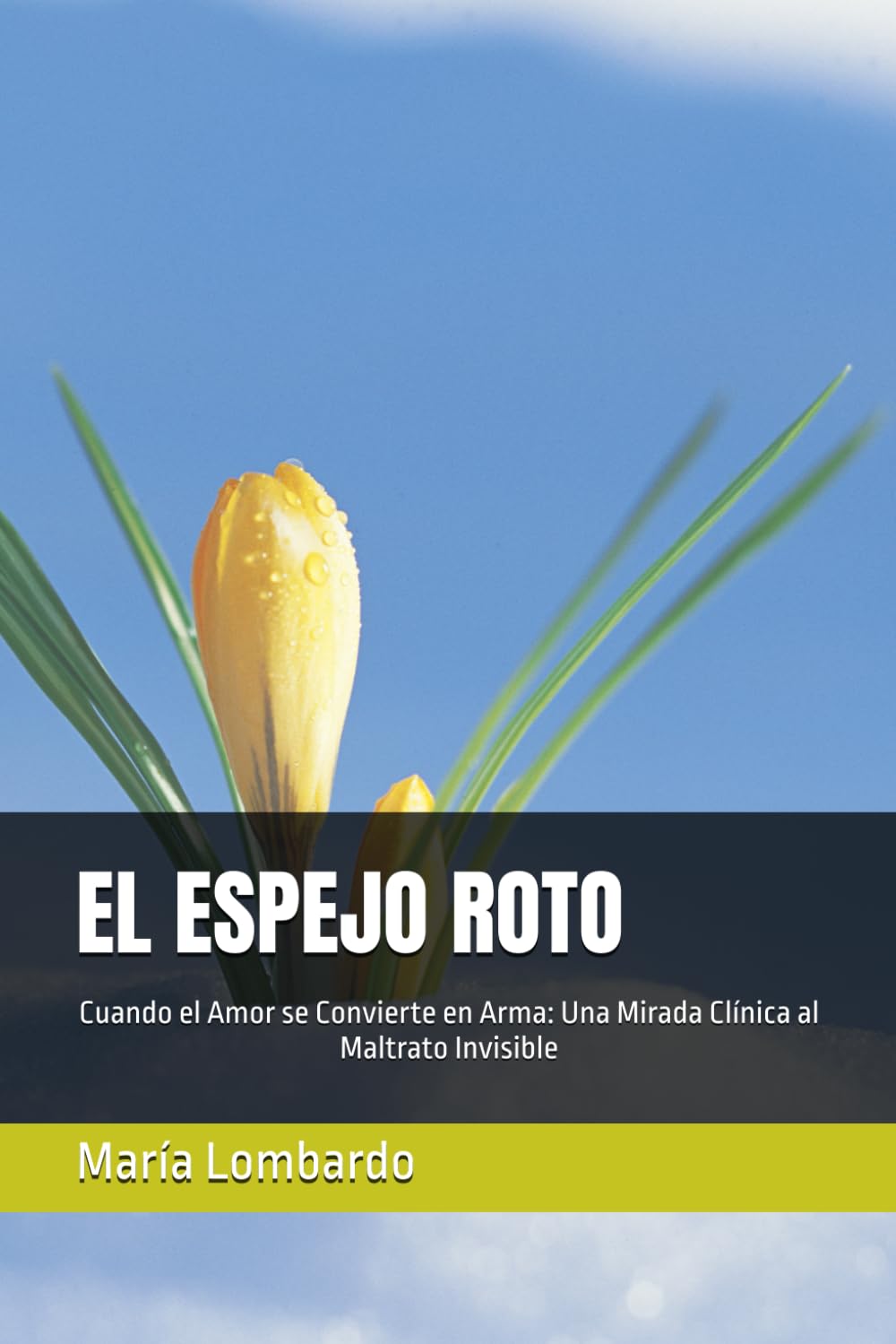 EL ESPEJO ROTO: Cuando el Amor se Convierte en Arma: Una Mirada Clínica al Maltrato Invisible