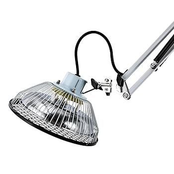 ❤LABIさま❤EnergyWork❤❤✨ Amazon.com: SanBouSi Far Infrared Light 250W 360° Rotating