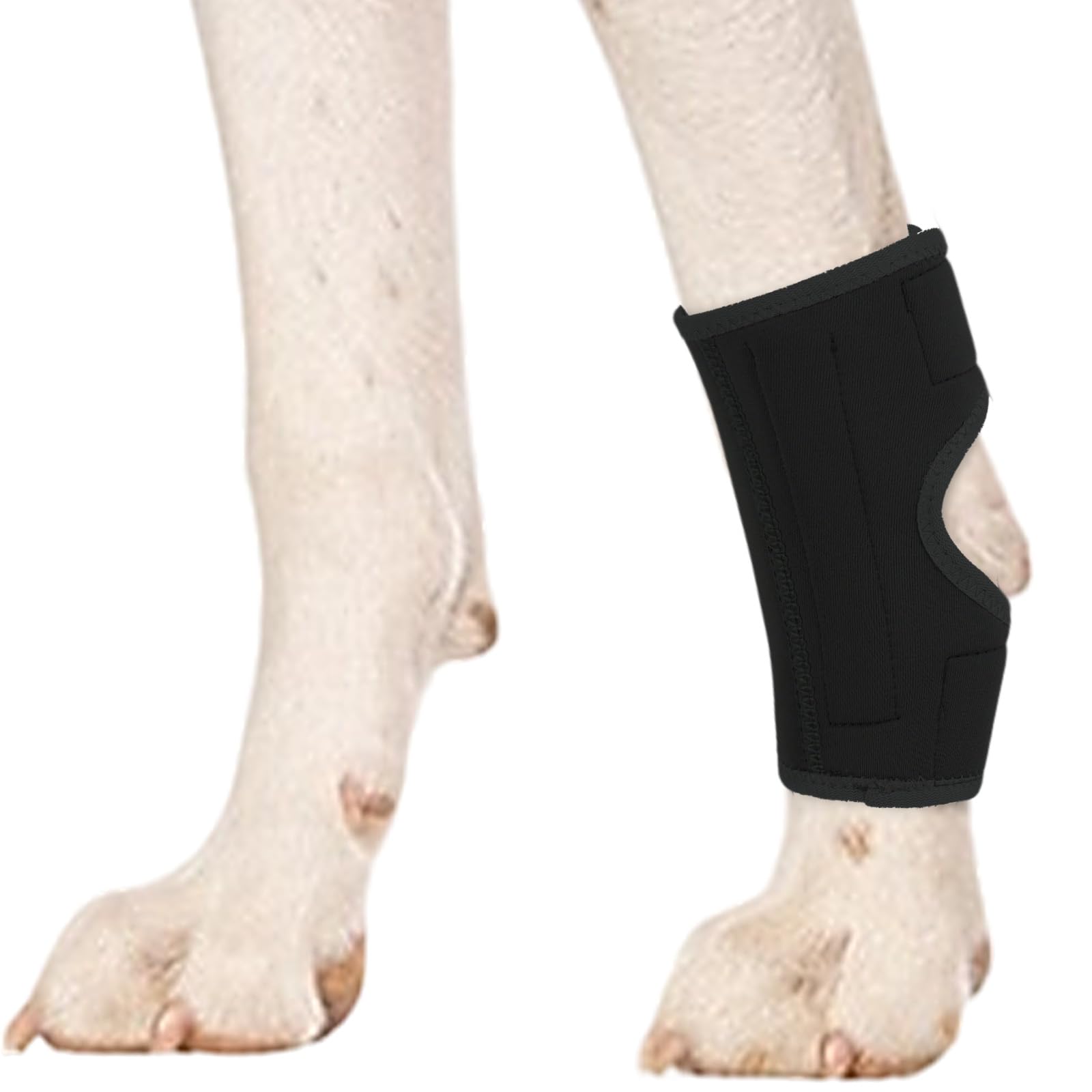 1 Stück Gelenkbandage für Hunde, Kniebandage Gelenkbandage Stützbandage Hunde Bein Sprunggelenk Wrap Handgelenk Bandage für Schützt Wunden und Hilft Bei Gelenkentzündung und Arthritis(Schwarz, M)