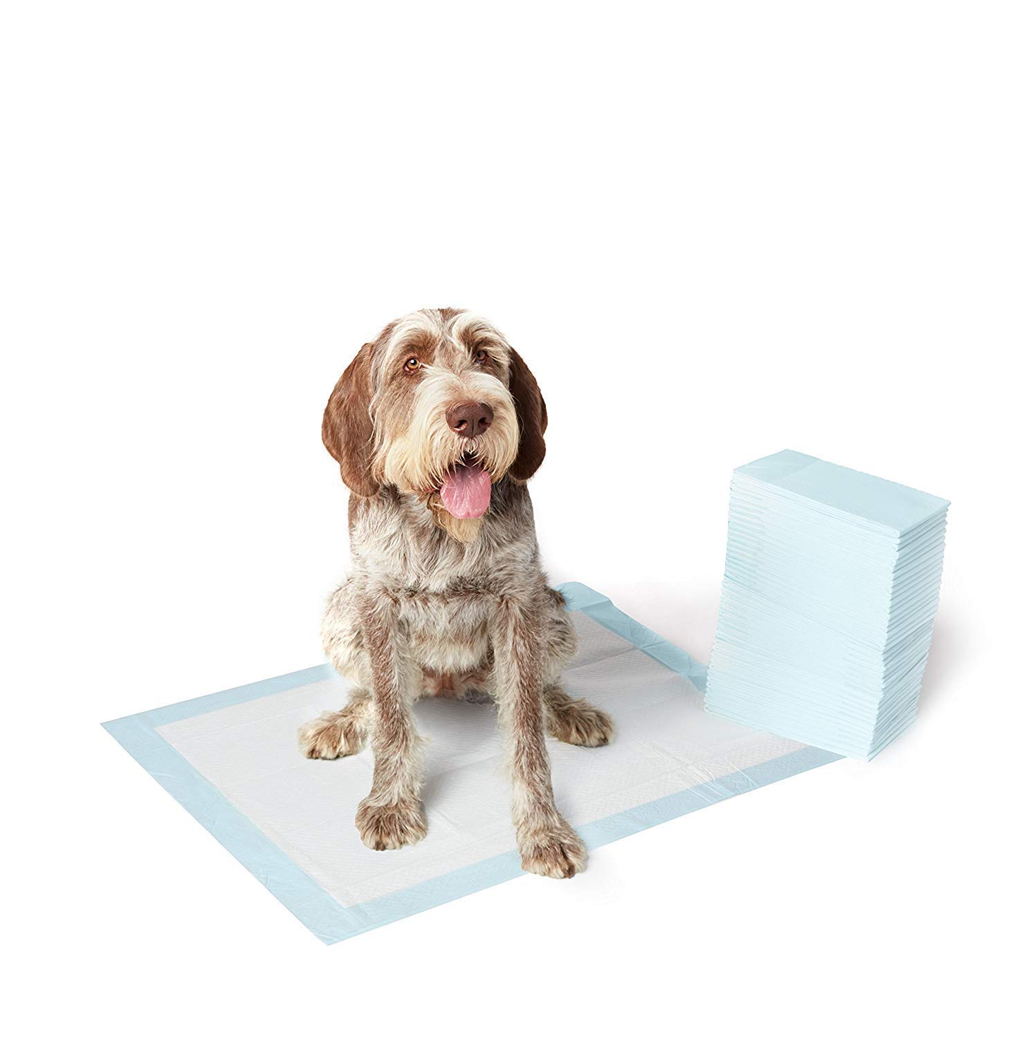 Nootie Training Pads, Super Absorbent, Water Proof, Non Slippery, Large, 50 Count with 60X90cm (B08SRFSLNM) Amazon Price History, Amazon Price Tracker