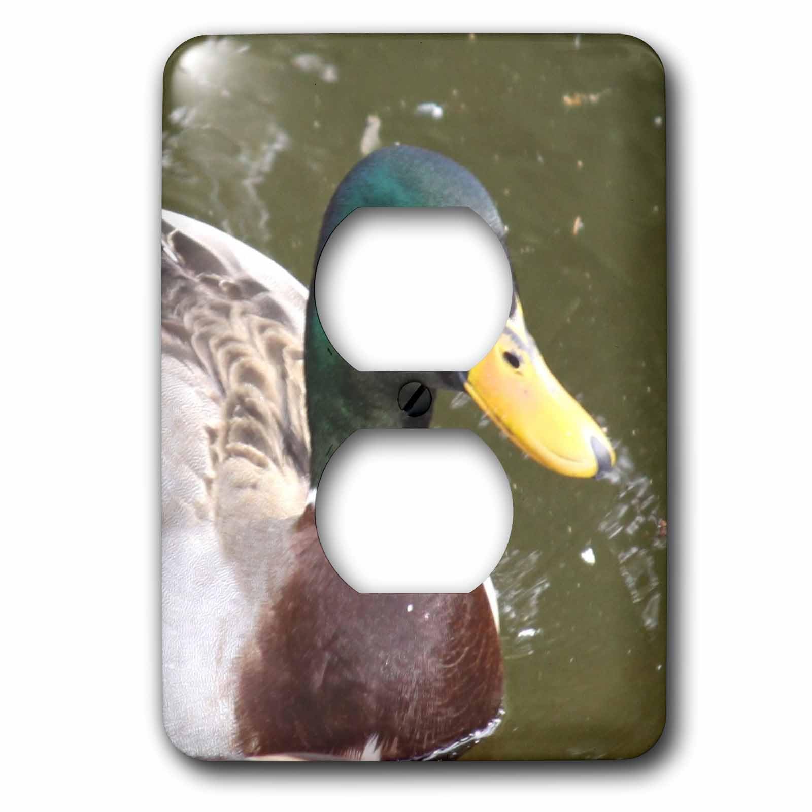 Capot de prise 2 trous double pour plaque murale décorative 3dRose lsp_24858_6